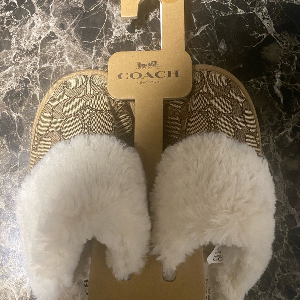 Coach Slides - Picture 2 of 5